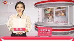 重庆生活频道在线观看,重庆生活频道带你在线领略巴渝风情  第3张